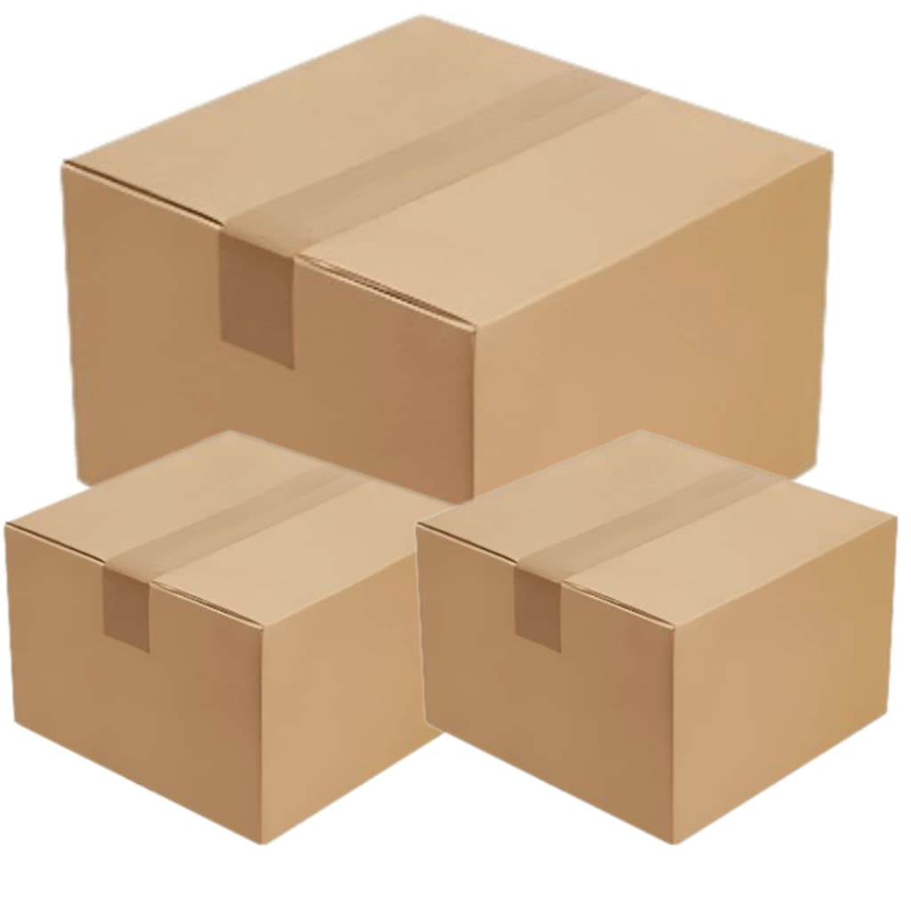 Caixa Organizadora Master