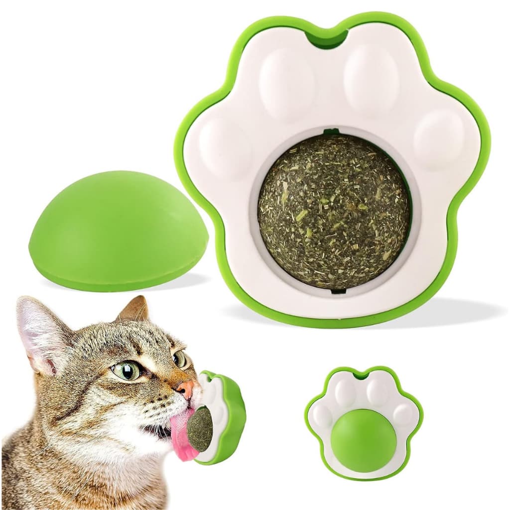 Patinha De Brinquedo com Catnip Erva de Gato Natural 1 Uni
