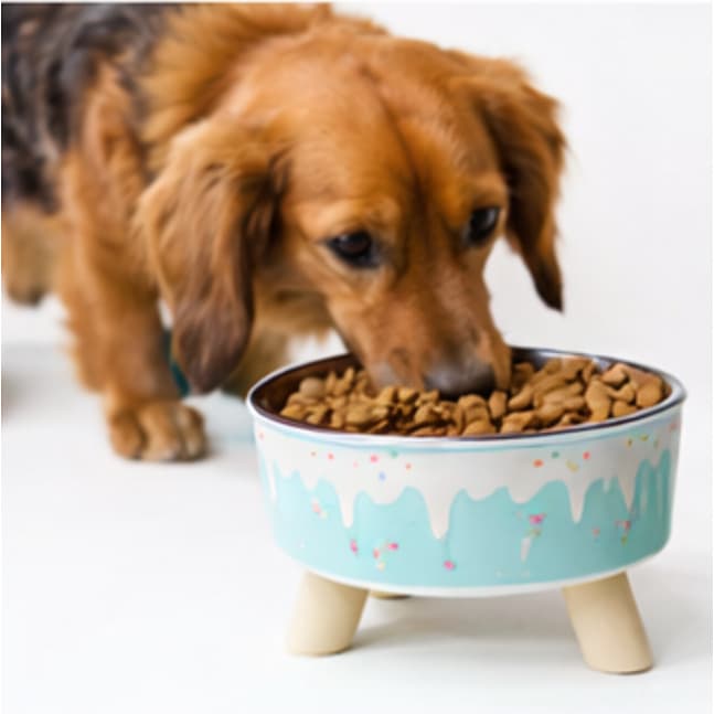 Tigela Pet Design Fofo Elevada Inox Estampada Antiderrapante Premium