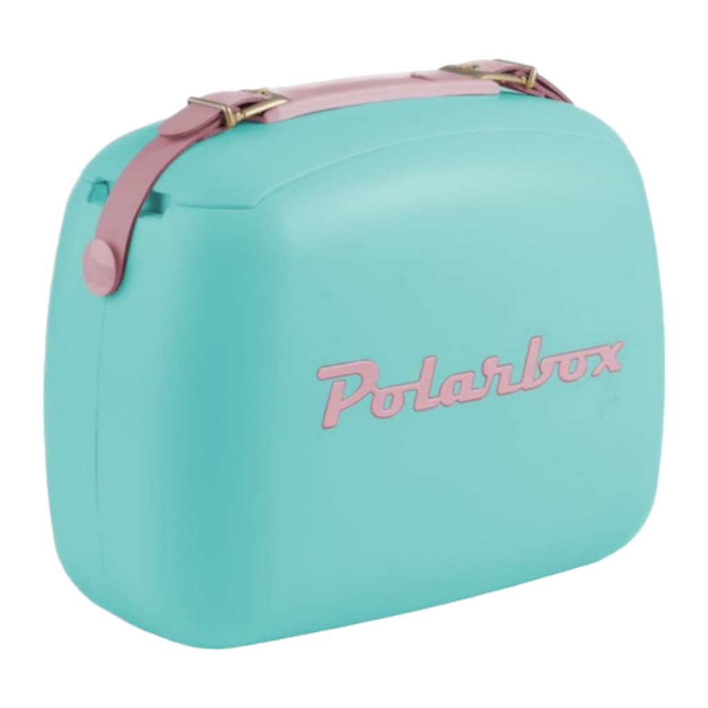 Caixa Térmica Cooler PolarBox Com 2 Recipientes, Lancheira Promoção