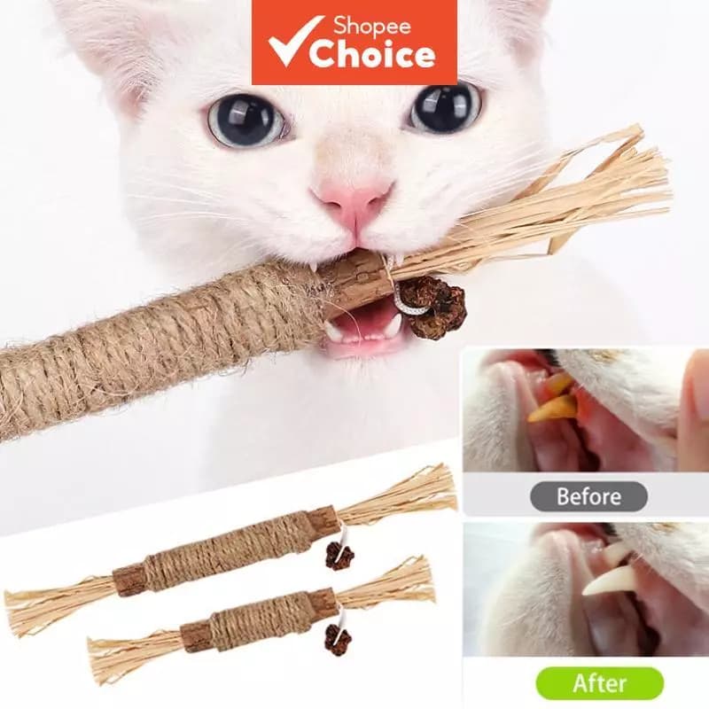 Brinquedo Celestial para Gatos – Bastão de Madeira, Dentição, Mordedor Natural e Saúde Dental