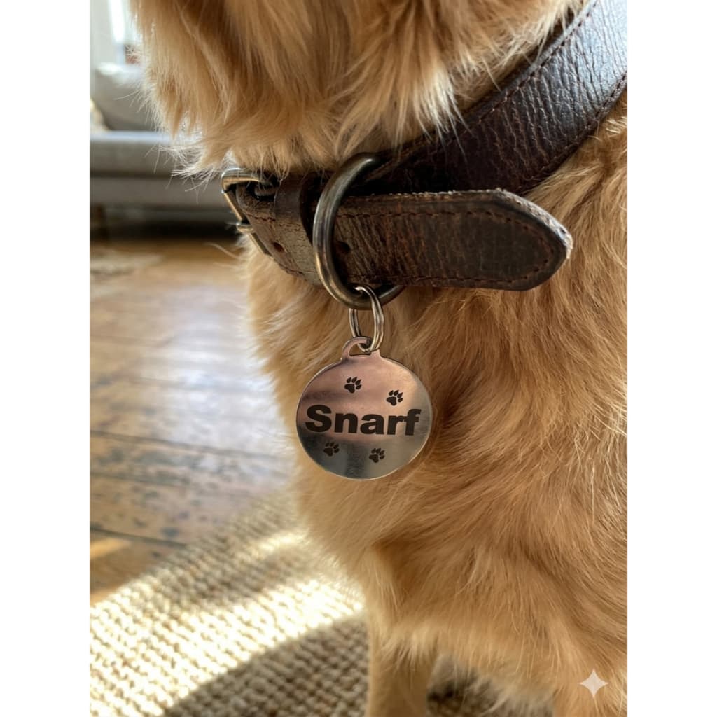 Plaquinha de identificação Cachorro  Pet Placa Pingente Personalizada para Gato inox nao enferruja nao apaga altorelevo