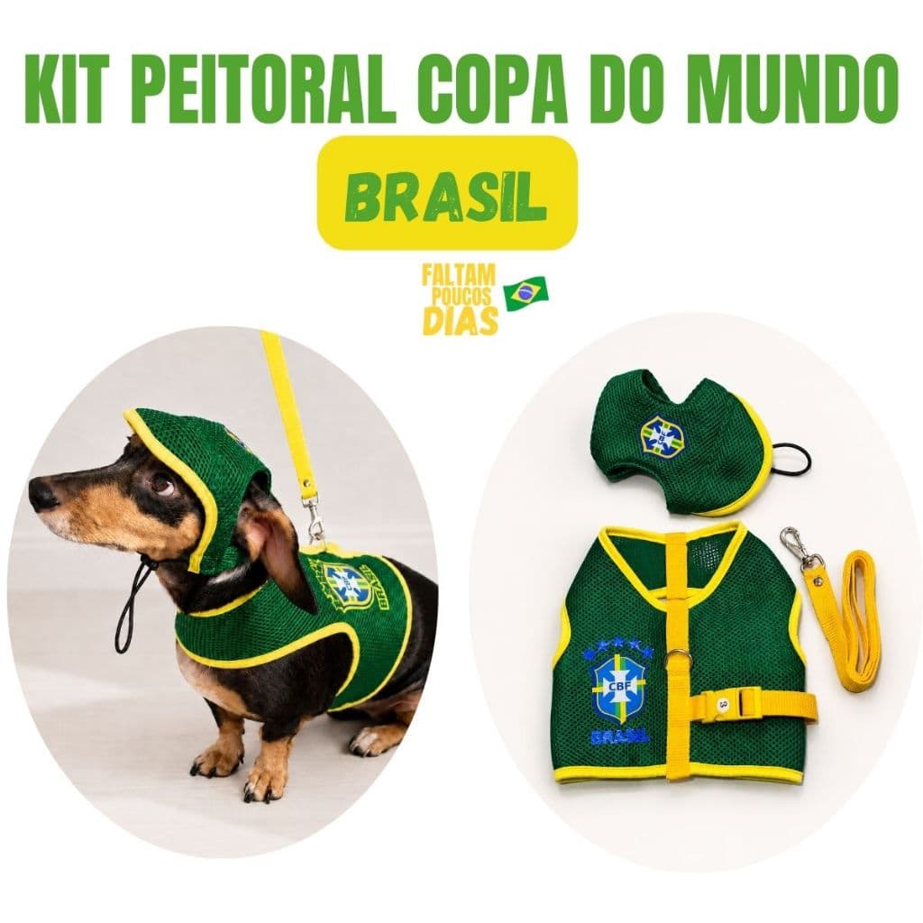 Kit Copa Brasil Coleira Peitoral e boné para cachorros Kit Verde para cachorros e gatos