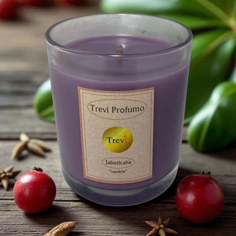 Vela Aromática Jaboticaba 180 gr (Aromas do Brasil) Vela Perfumada | Vela Artesanal