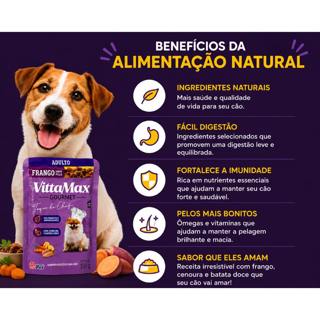 Kit Sachês para Cachorro Alimentação Natural Premium Frango 100g Vittamax Refeição Completa Sem Conservantes Saudável