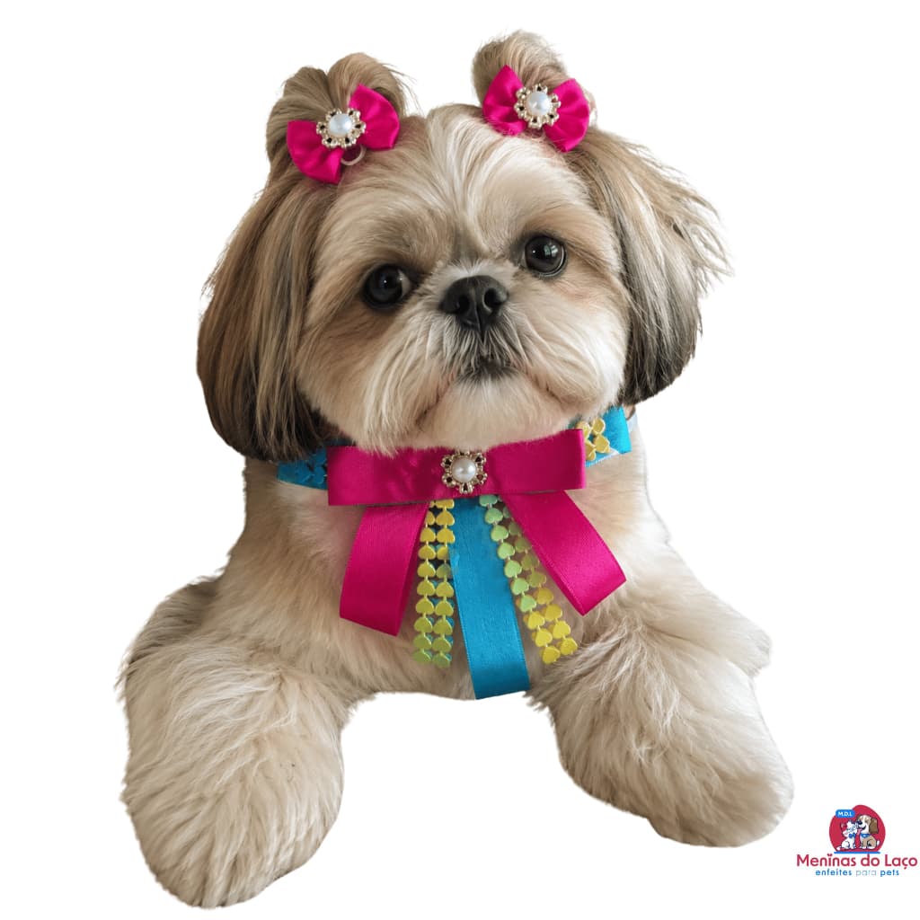 Kit Bandana e Laço pet fêmea - LUXO - Sortidos - petshop - banho e tosa