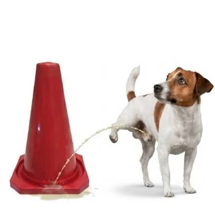 Postinho Cone Educador Vermelho Para Cachorro Promoção