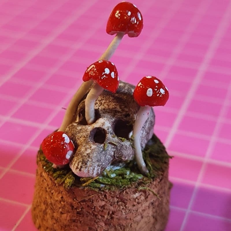 Diorama de Caveira com Cogumelos