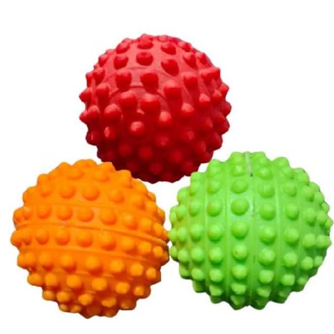 Bolinha para Cachorro Kit 3 Bolas Cravo Fisioterapia Massagem Anti Stress Bolinha Cravo Macia Envio Imediato bolinha pet