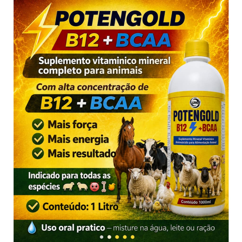 Potengold B12 + BCAA Suplemento para Animais com Aminoácidos Essenciais 1L Ganho de Massa Vitalidade