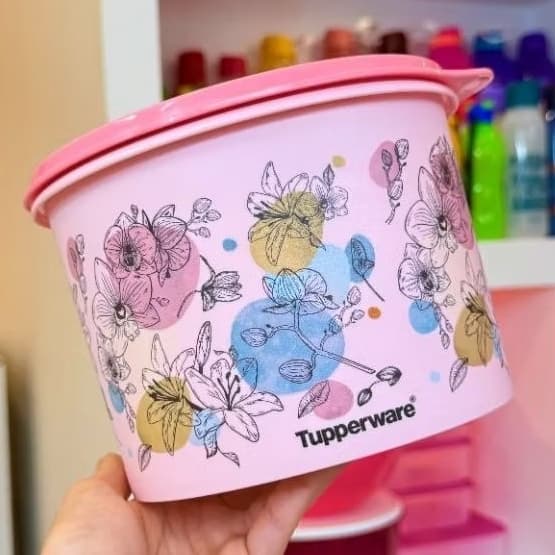 Pote orquídeas Tupperware Original/Tupper Caixa  hermética.