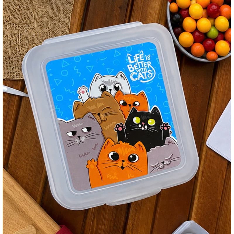 Lancheira Infantil com Tampa e Travas – Estampa Gatinhos 🐱💙