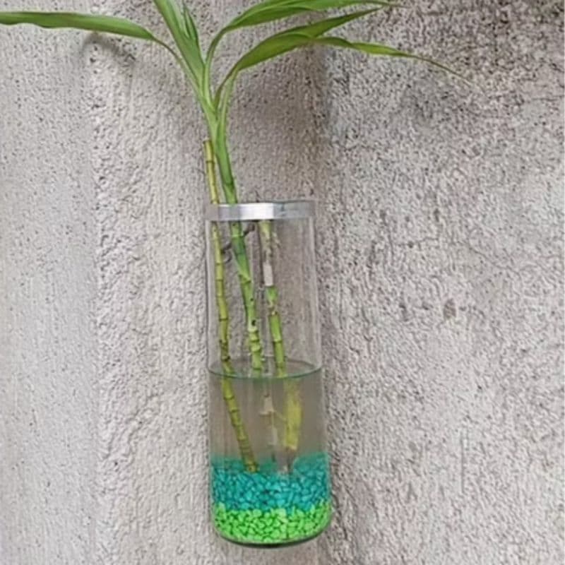 Vaso de Vidro Decorativo 21cm Hidroponico Transparente com Borda de Alumínio – Moderno Elegante