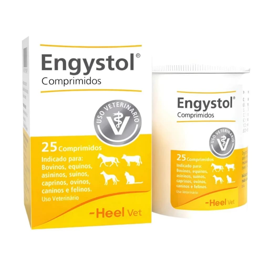 Engystol - Sistema Imunológico e Doenças Virais 25comp