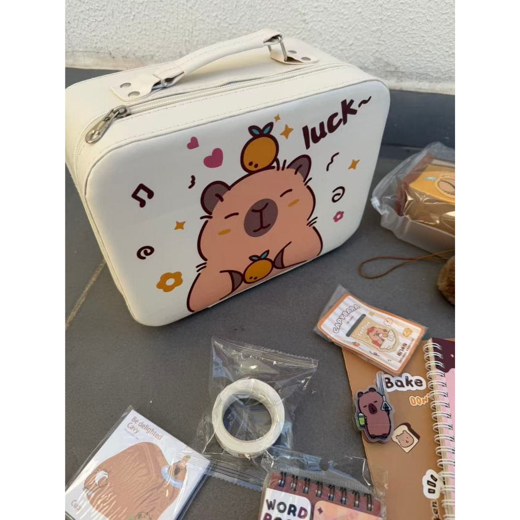 CAIXA DE PRESENTE Aniversário KIT DE ESCRITORIO CONJUNTO DE PAPELARIA KAPIBARA  CAIXA DE PRESENTE