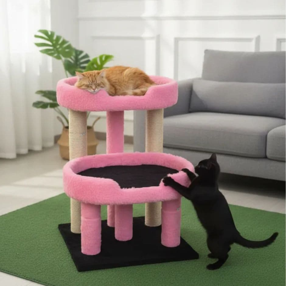 Arranhador Para Gatos Cama Maine Coon Com Almofadas