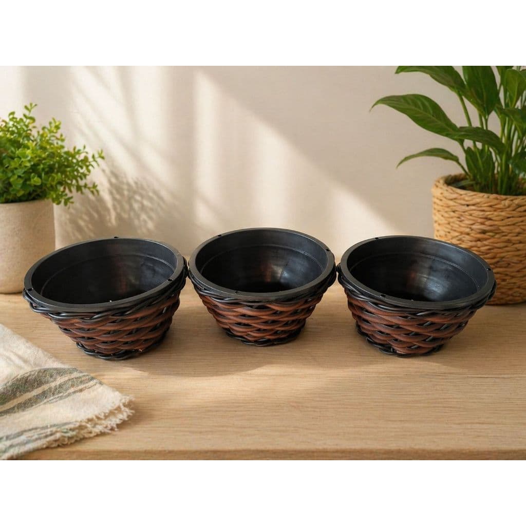 VASO CUIA NOBRE KIT COM 3 UNIDADES PRODUTO MATO VERDE JARDINAGEM cod4174