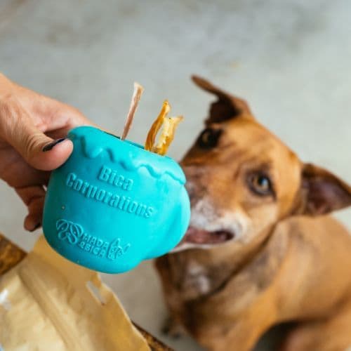 Dispenser de Petiscos Xícara de Café para Cachorro | Enriquecimento Mental, brinquedo interativo - Petiko