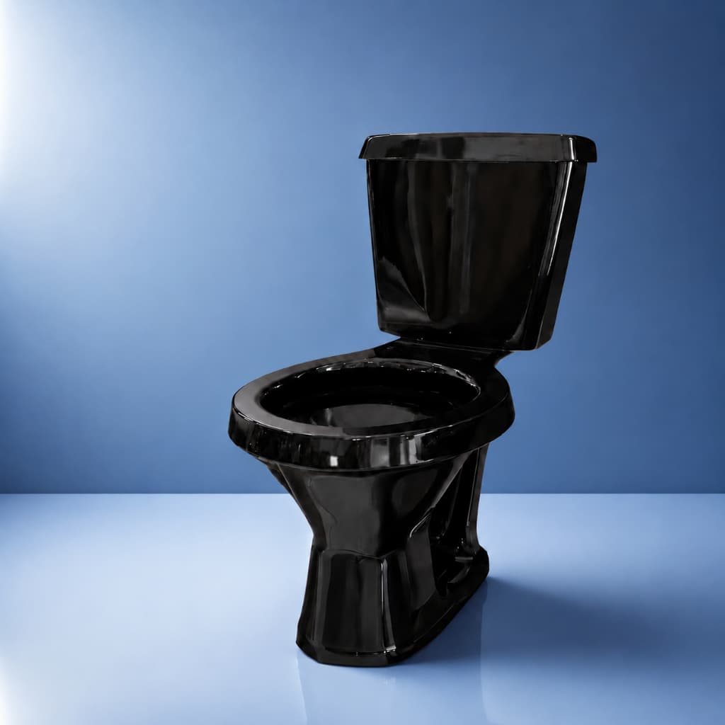 Vaso Sanitário + Caixa Acoplada Preto Araxá Premium Banheiro Sofisticado