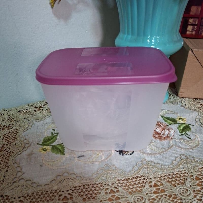 TUPPERWARE POTE FREEZER MATE AMORA 1,1 LITROS