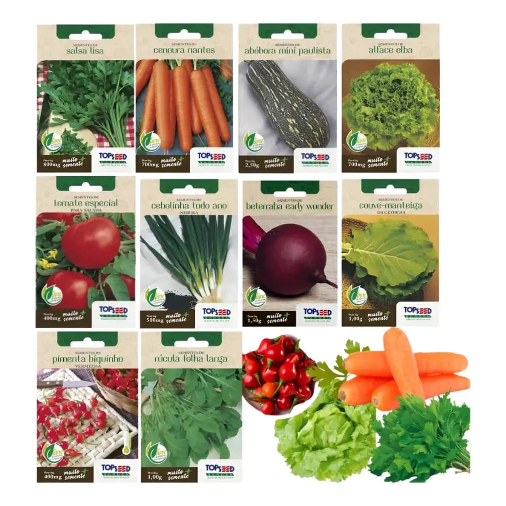 Kit 10 Sementes De Hortaliças | Cenoura Beterraba Salsa Abobrinha Couve Cebolinha Tomate Rúcula +