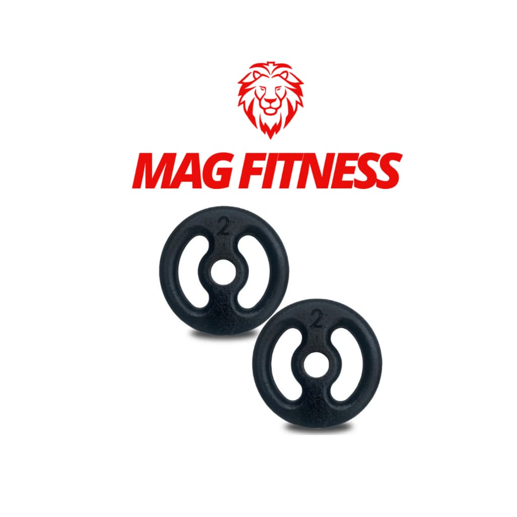 Par Anilha Pintada 2kg Musculação Academia Treino Funcional Peso Livre Casa Exercício Fitness