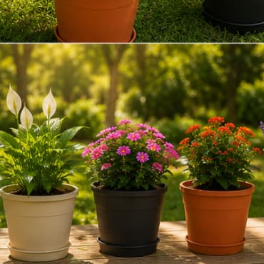 KIT 4 VASOS REDONDOS 1,5 LITROS PLANTAS SUCULETAS FRUTIFERAS COM PRATOS BEGE PRETO OU MARROM