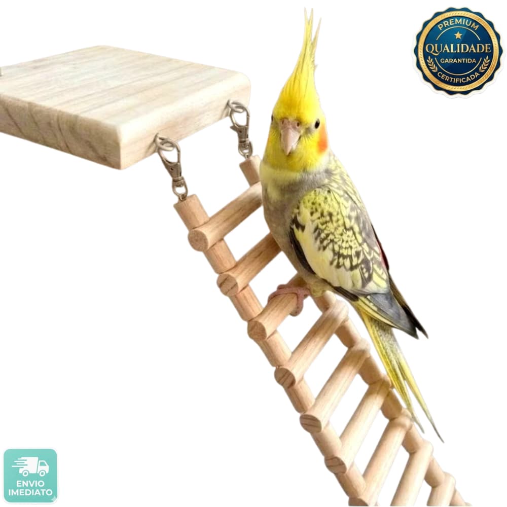Kit Escada/Ponte em Madeira Pinus para Gaiola/Aves/Calopsitas,/Agapornis/Canários/Pássaro/Periquito/Brinquedo/Pet/