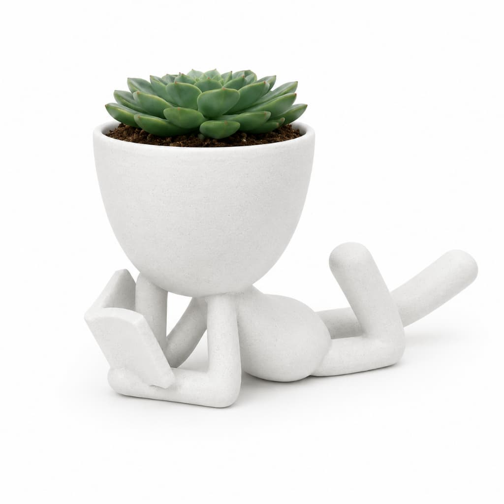 Vaso Para Suculentas Cachepô Decorativo Moderno Presente Criativo Vita Elo Sereno
