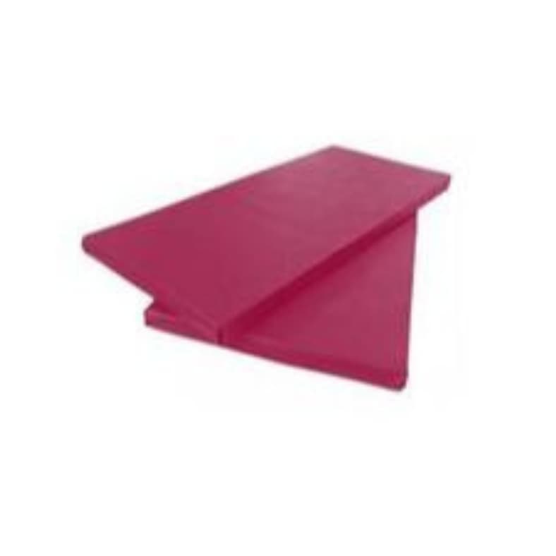 2 COLCHONETES ROSA - ACADEMIA / YOGA / PILATES - 90x40x3cm - DUPLA COSTURA TRAVETADA SC