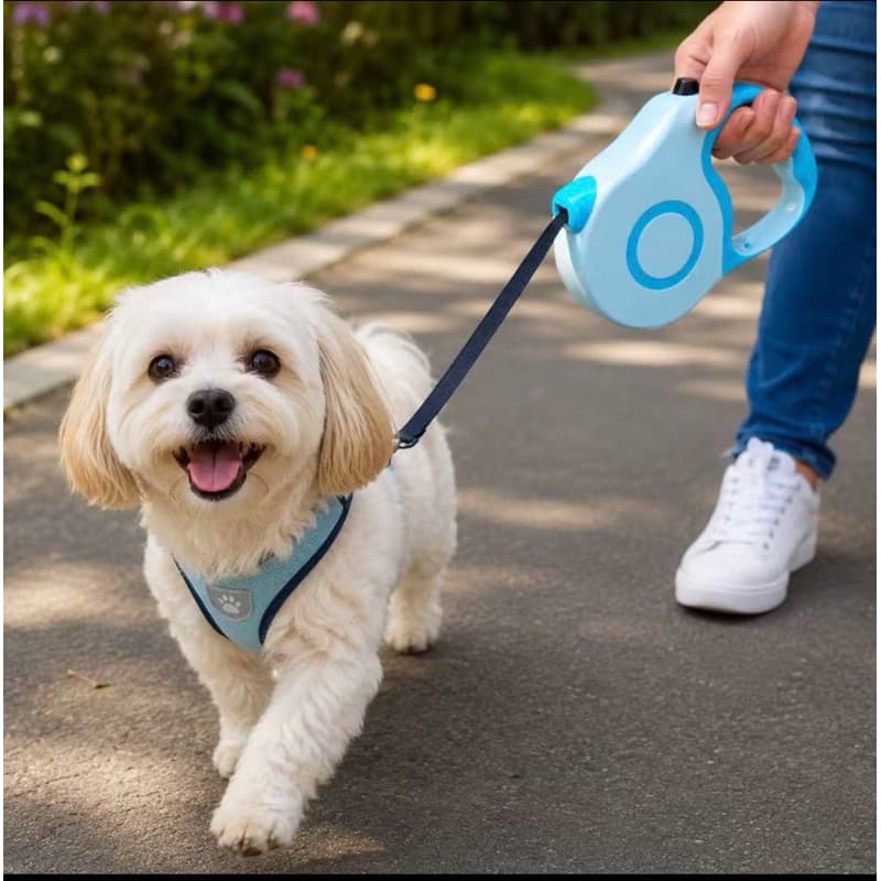 Guia Retrátil para Cães 5 Metros com Trava de Segurança, Fita Resistente e Alça Anatômica Azul 🐶💙