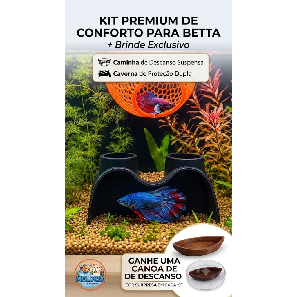 Esconderijo Flutuante  Caminha para Betta  e Guppy + Caverninha + Brinde