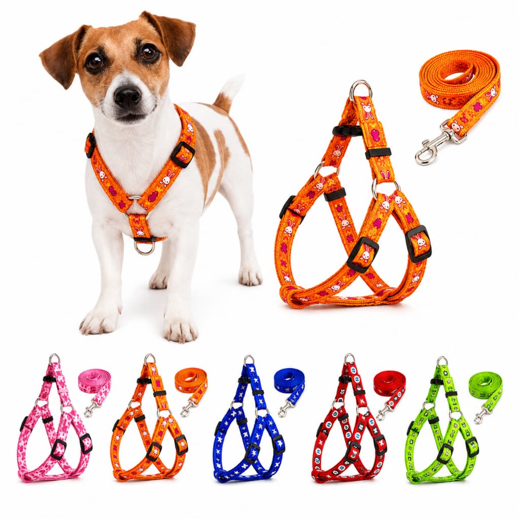 Coleira Peitoral e Guia Simples Nylon Ajustável Para Pets Cachorro Cão Gato