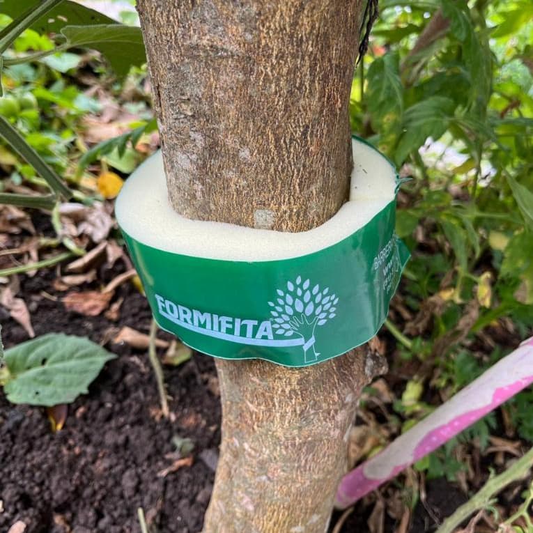 Formifita Barreira Ecológica Contra Formiga Cortadeira Cores e Tamanhos Vários