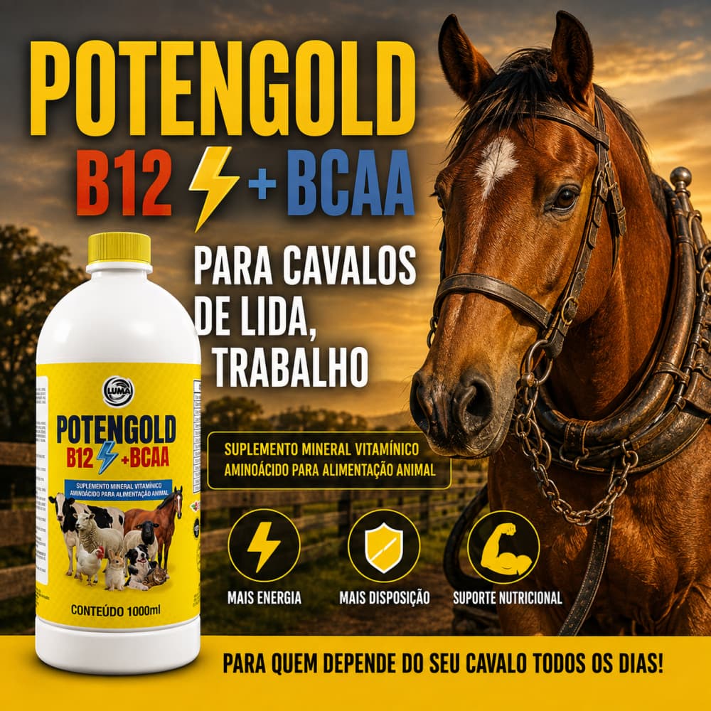 Potengold B12 + BCAA Suplemento Para Cavalos de lida e Trabalho Deixa o Potro Forte e Saudável 1L