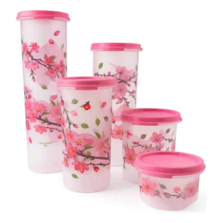 Tupperware Cerejeira Kit Modular Redondo 5 Peças
