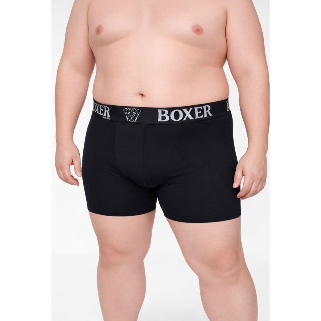 Cuecas Boxer Masculino PLUS SIZE LONG LEG Box Microfibra Elastico Reforcado Confortavel Revenda