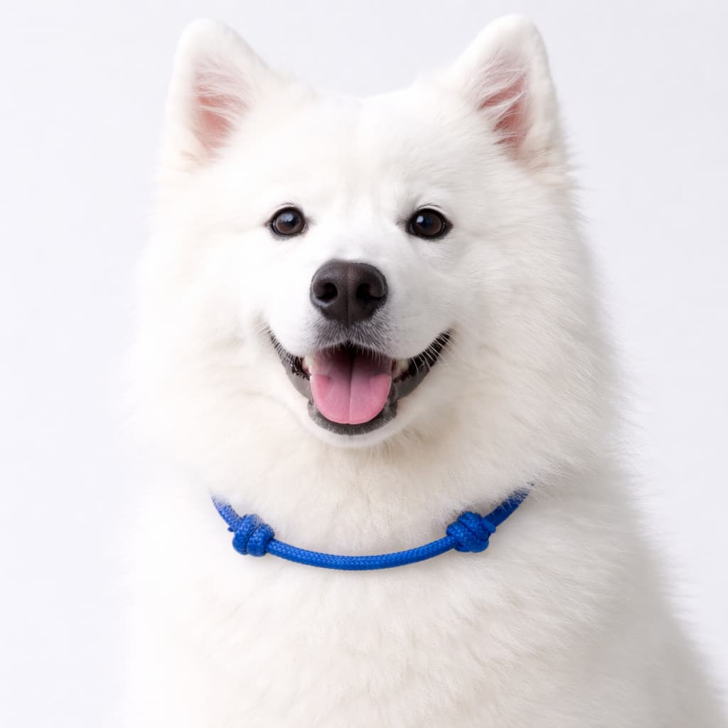 Colar de Corda Ajustável para Cachorro – Perfeito para Cachorros Grandes e Pequenos