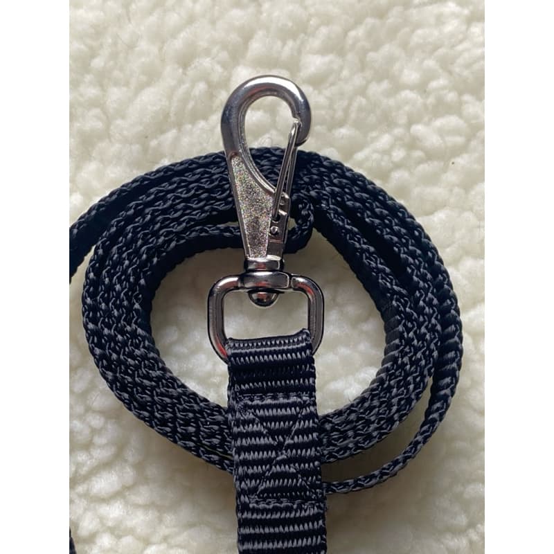 Guia coleira para cachorro Ultra Resistente em Fita Polipropileno Segurança e Conforto Máximo SUPER OFERTA