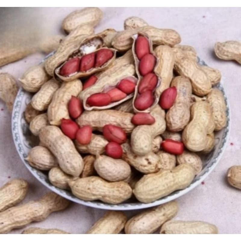 6 Kilos de Semente de Amendoim vermelho para Consumo,Plantio,Natural do Norte de Minas Gerais