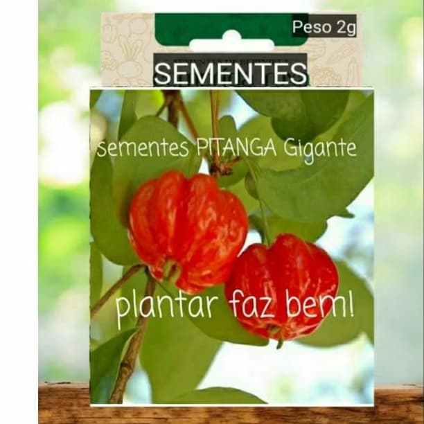 SEMENTES PITANGA GIGANTE  fruta plante vaso horta terra adubo  Jardim OFERTA #6