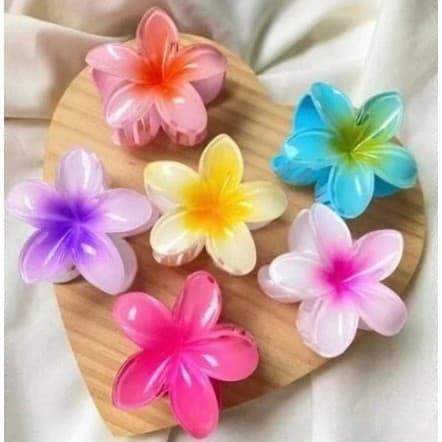 Presilha de Cabelo Flor de Hibisco – Piranha de Flor Havaiana Cores Degradê