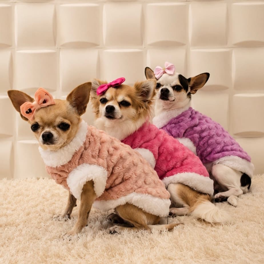 Roupa pet inverno de fleece dots com forro teddy para cachorro e gato