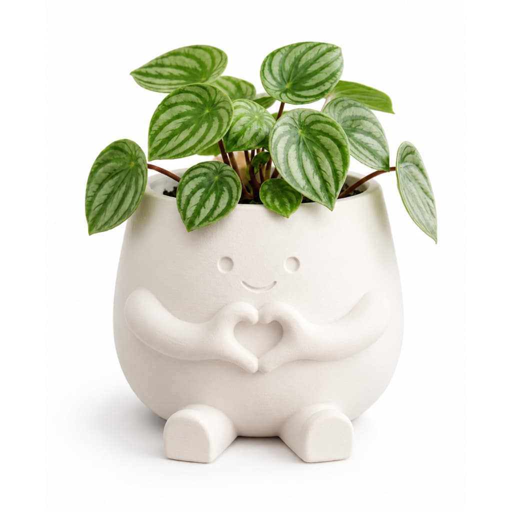 Vaso Decorativo Fofo para Plantas e Suculentas Design Moderno em Plástico Resistente