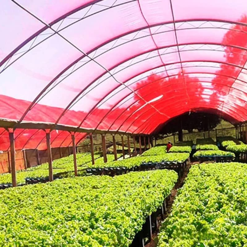 Sombrite 35% Tela de Sombreamento 35% Vermelho 6,00 Largura Jardim Viveiro Estufa Orquidário Pergolado Piscina Decoração