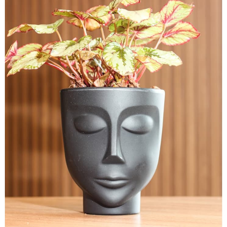 Vaso Face Menino 14 Várias Cores - Terraza - Nutriplan