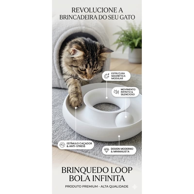 Pista Magnética Premium Gatos Bola Infinita Silencioso