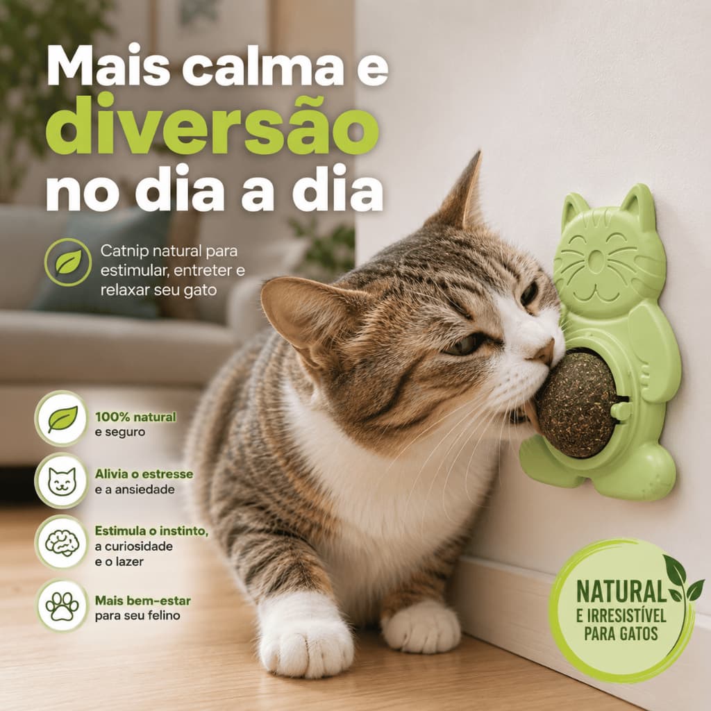 Catnip Para Gatos Bolinha Natural Com Adesivo Erva Catnip Anti Estresse Interativo