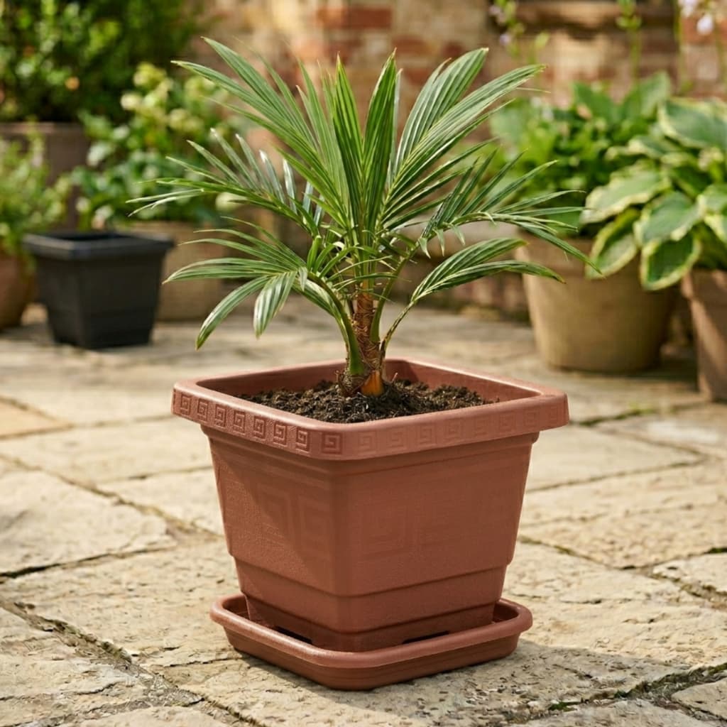 Kit Vaso + Prato De Plástico Vaso De Flor 18 Litros Quadrado Reforçado Resistente