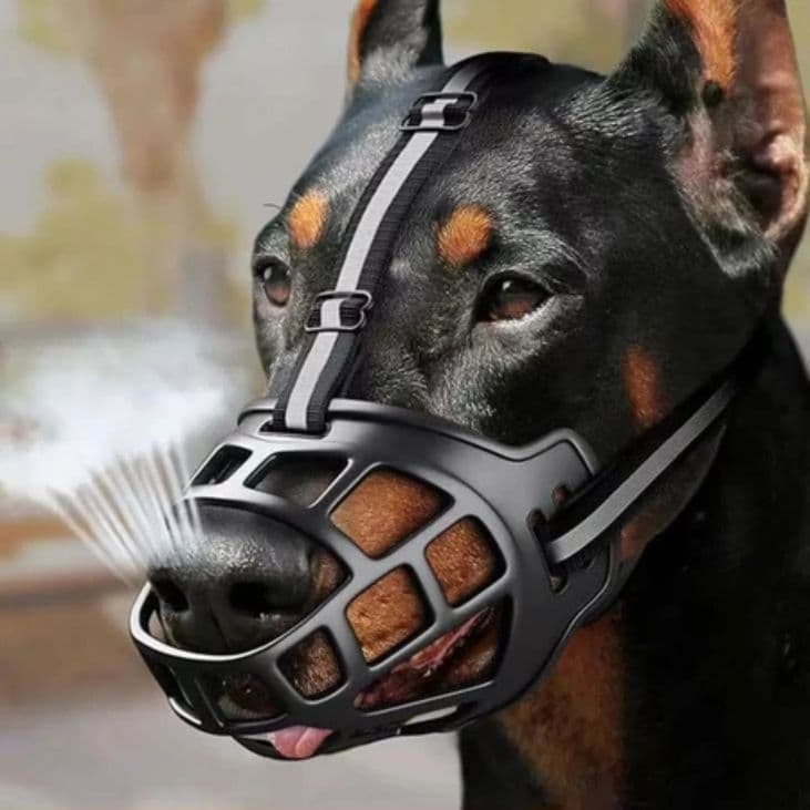 Focinheira para Cães – Previne Mordidas, Latidos Excessivos e a Ingestão de Lixo ou Restos